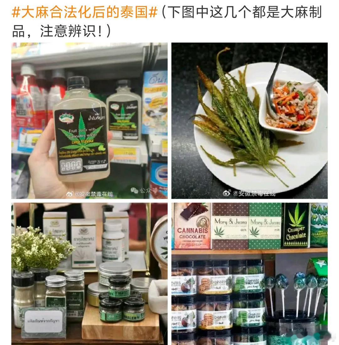 #大麻合法化后的泰国#不管是五一去游玩还是以后假期去图片中的东西都记得注意辨别吧