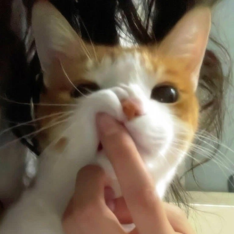 博君一肖   这有区别吗？这就是一毛一样啊看完探索新境再看这个封面，这上面全都是