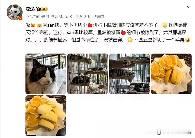 就连沈逸这么见多识广的人都没抗住牢A的糖霜苹果，不知道三妹今天晚上还能不能吃的下