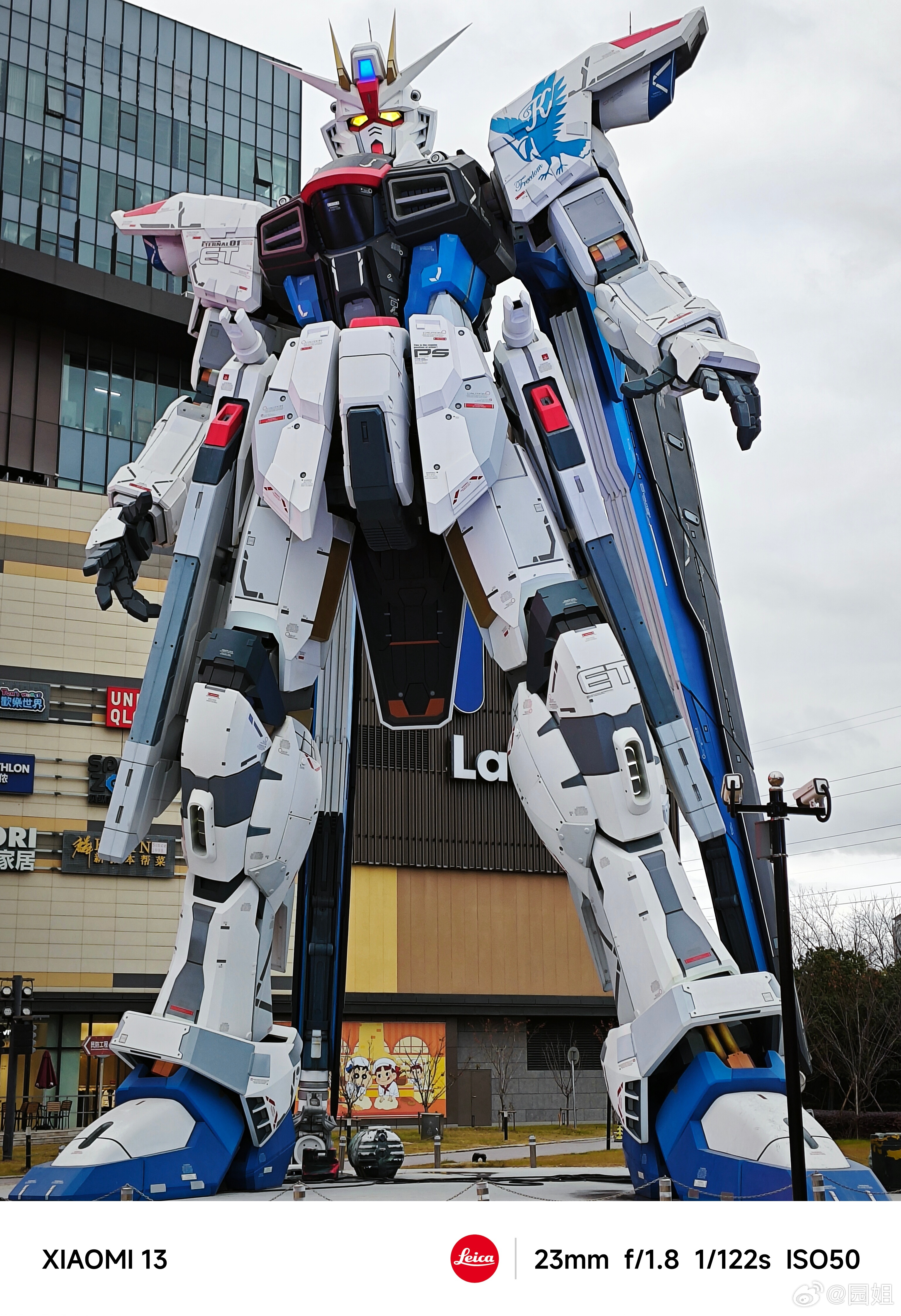 这也太帅了，群里朋友发的，说6米高，这家里也放不下呀