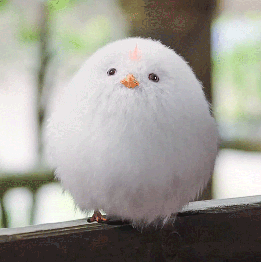 追檀健次的好处就是，你会热爱生活，努力赚米，目标是财务自由好在十奢里开心挑选。 