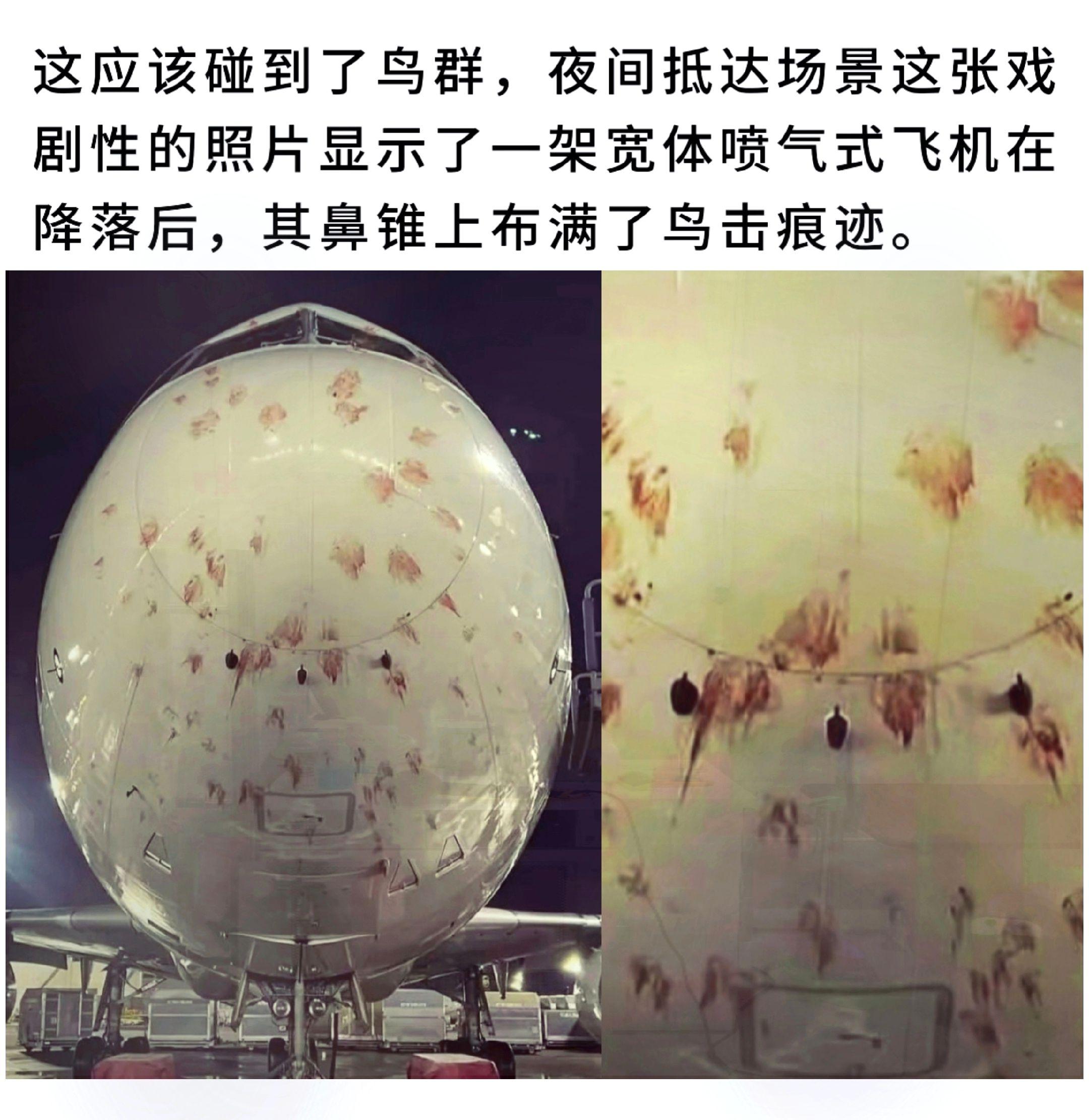 这应该碰到了鸟群，夜间抵达场景这张戏剧性的照片显示了一架宽体喷气式飞机...