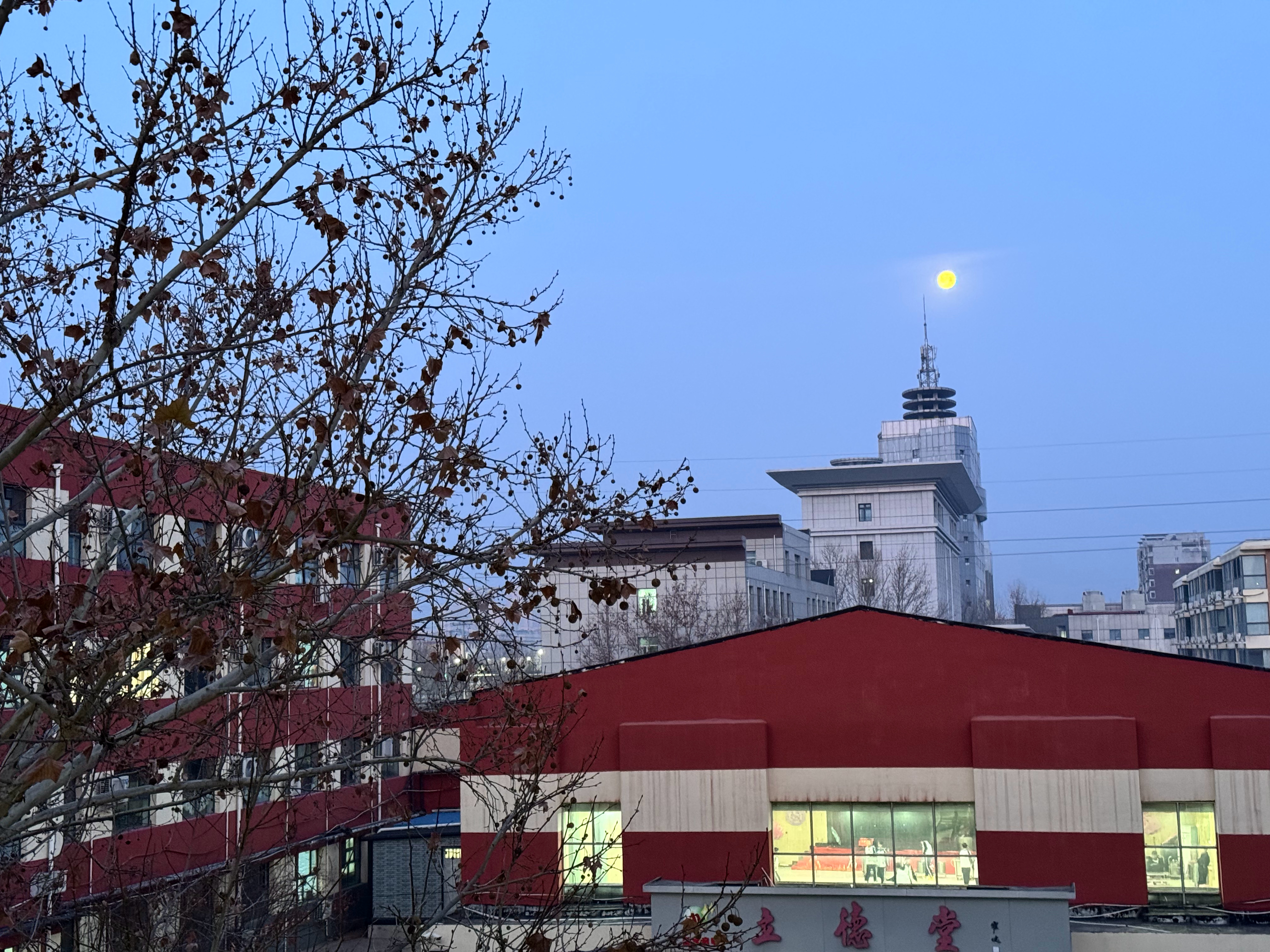 衡水启明学校的早上随手拍 校园 衡水启明学校