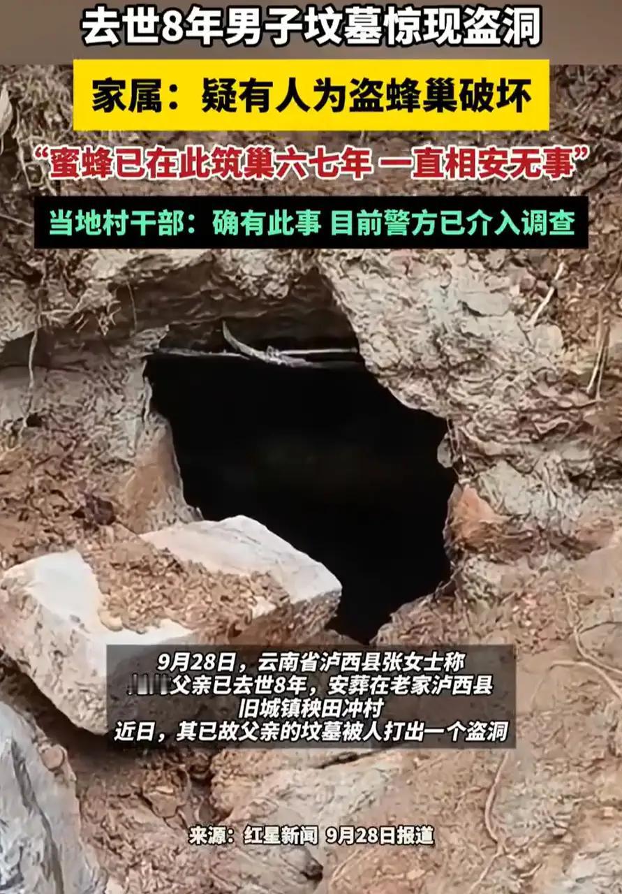云南泸西，一女子发现，已故父亲的坟墓被人打出一个盗洞，而根据一家人的分析，对方这