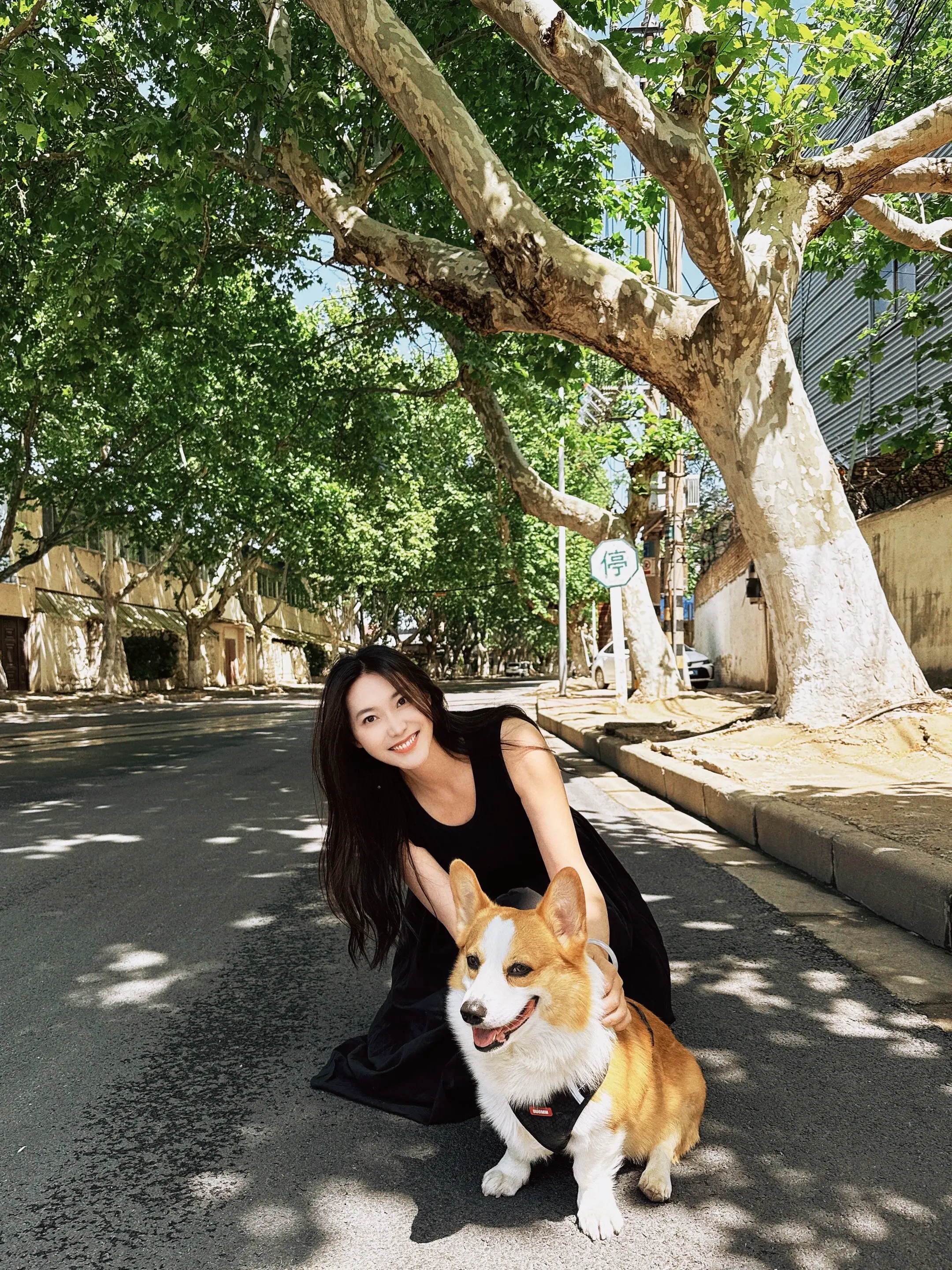 给大家介绍下我的新朋友“蛋黄” 它真的超级无敌乖～