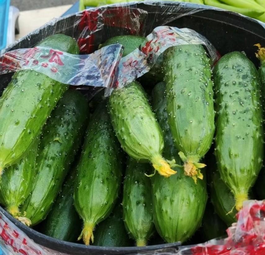 路过马栏市场716公交站台那，看见一家黄瓜还可以，寻思想买点，也知道老农买东西不