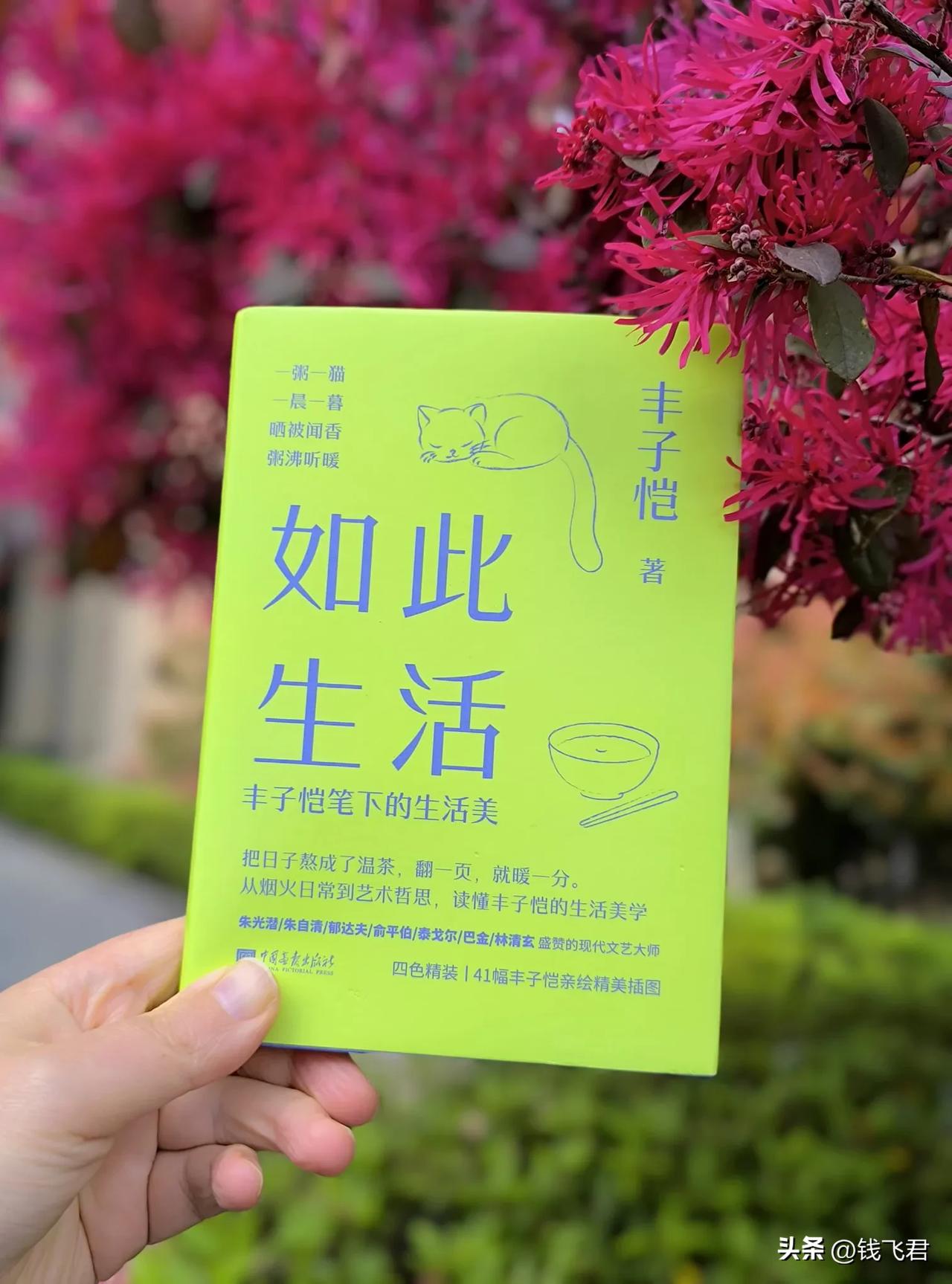 读丰子恺笔下的生活美，我学到了朴素

我喜欢丰子恺的漫画，他的画不仅有生活气息，