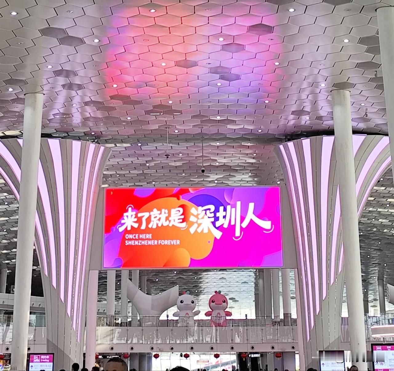 无梦想，不深圳