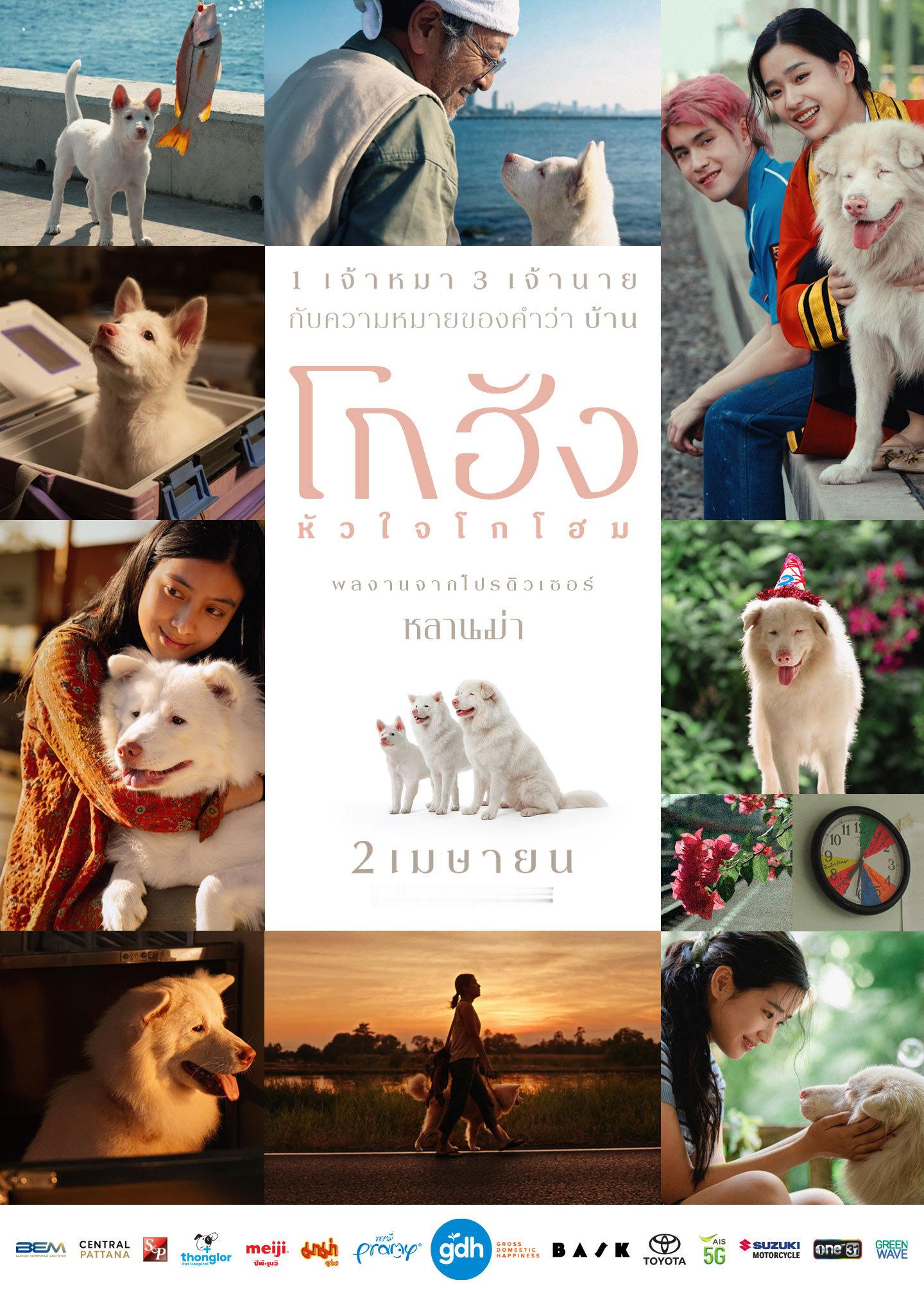 泰国治愈催泪电影《心犬相随》即将在内地院线上映～ 