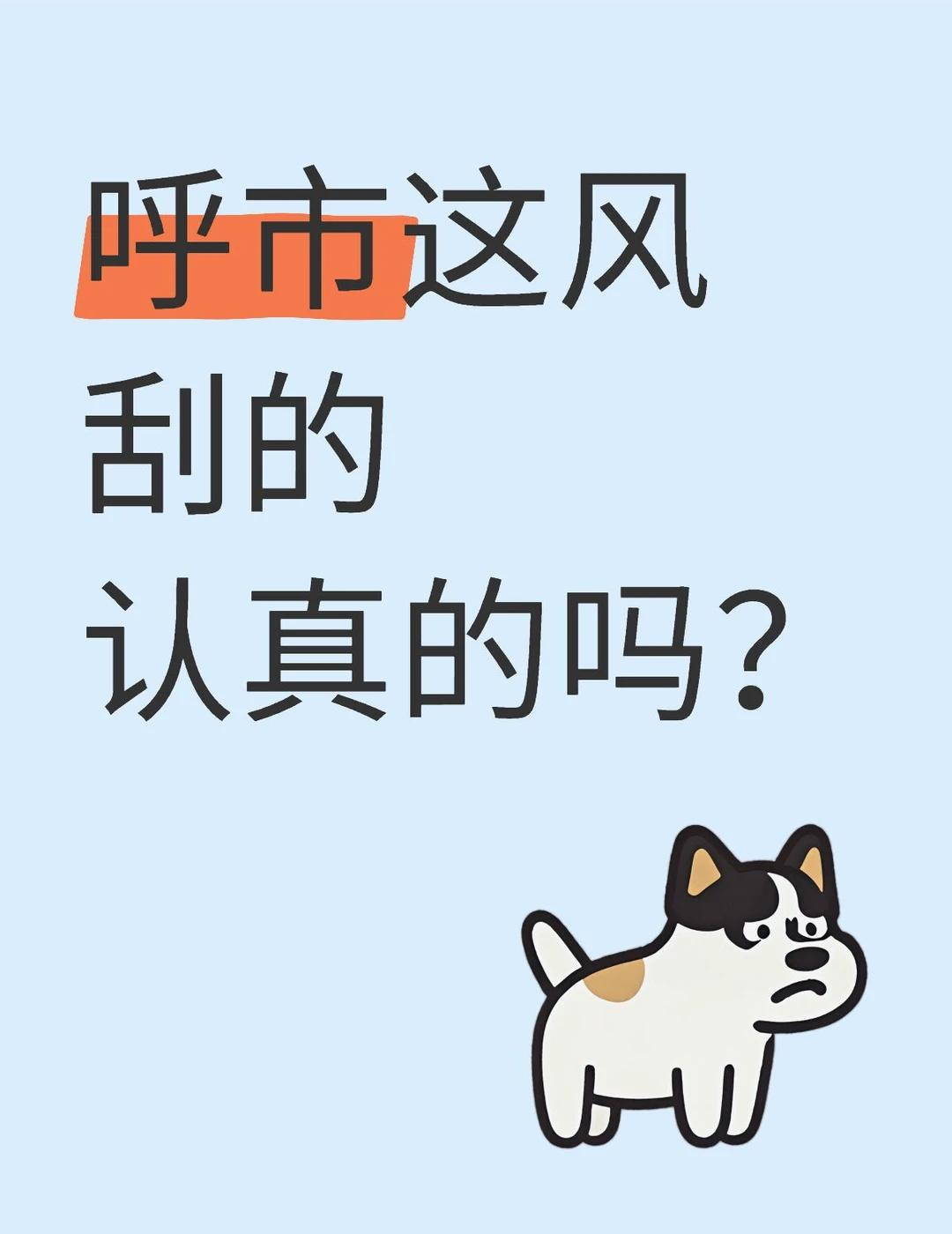 呼市这风刮的认真的吗？呼和浩特 呼市大风
