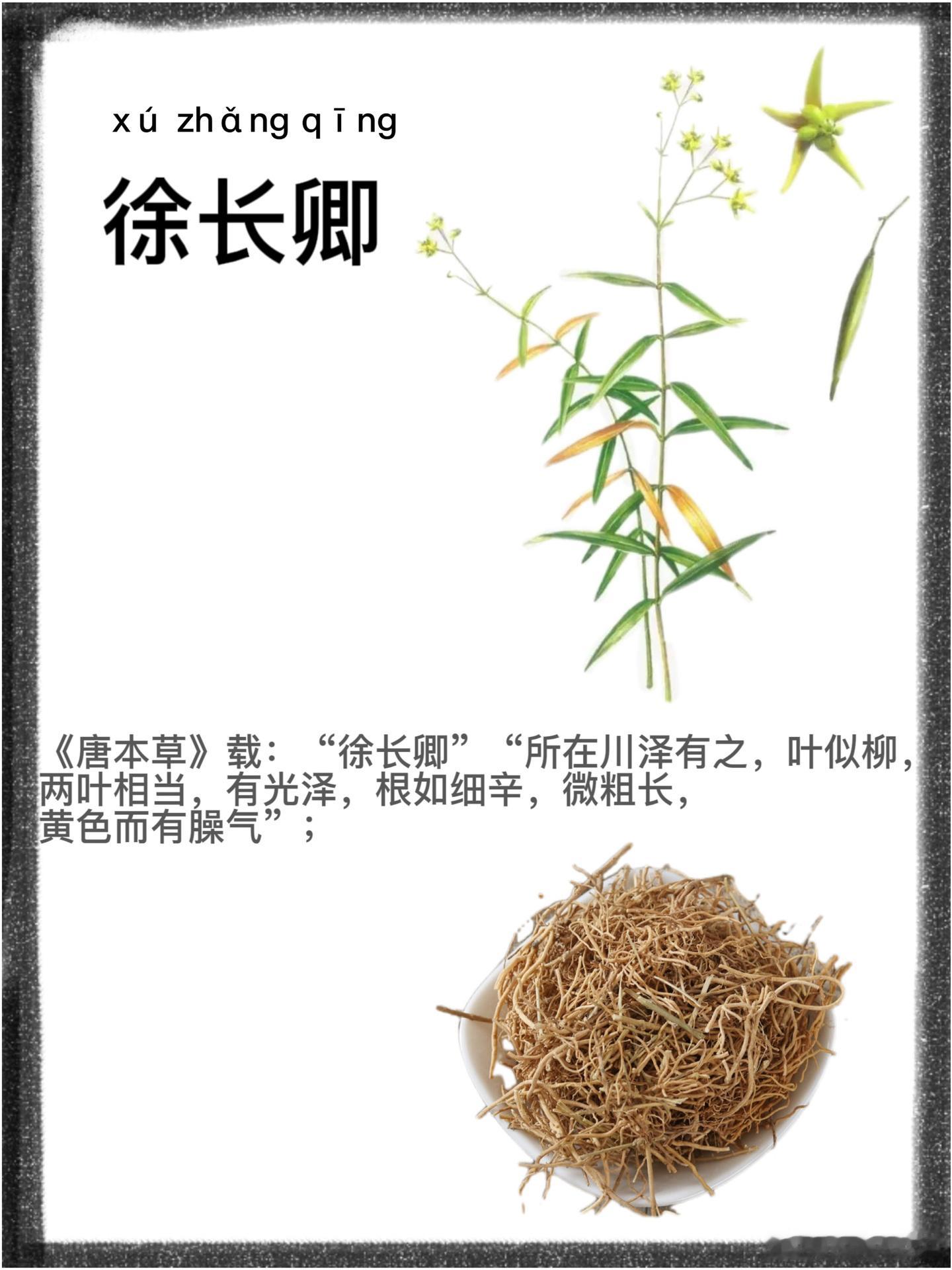 贵州名医石恩骏治急、慢性荨麻疹堪称一绝！​贵州名医石恩骏先生用一味治荨麻疹顽证堪