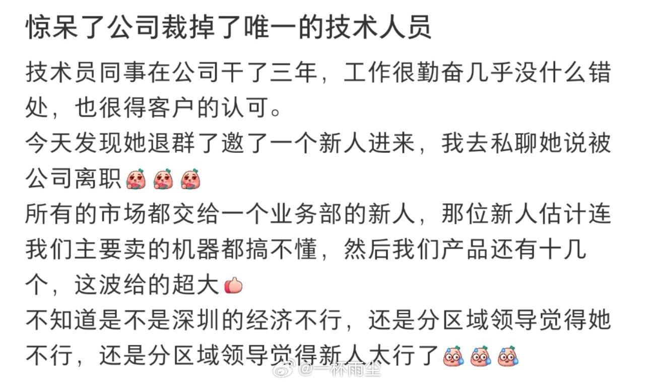 惊呆了公司裁掉了唯一的技术人员 ​​​