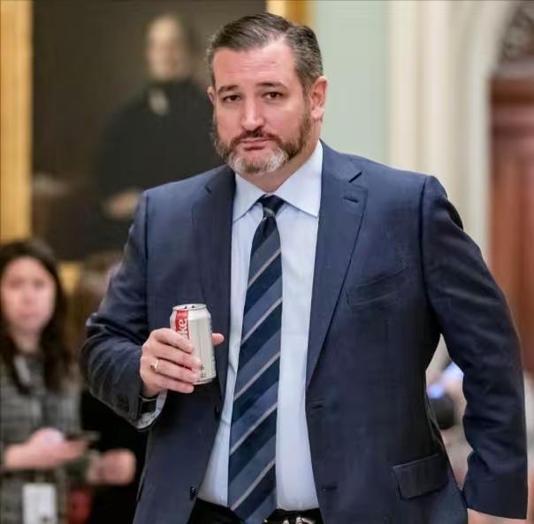 美国参议员：中国正在与美国进行一场长达千年的战争

美国共和党参议员克鲁兹说，中