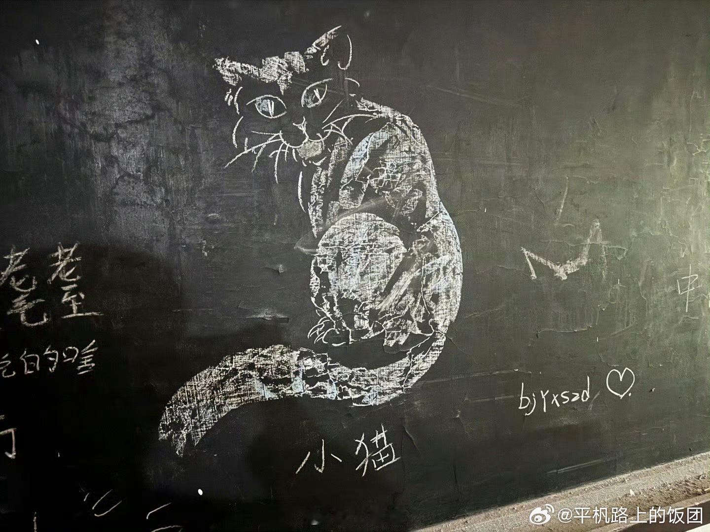 王星越拍了一张小猫图，图下面写着bjyxszd，现在王星越已经删了这张图[哆啦A