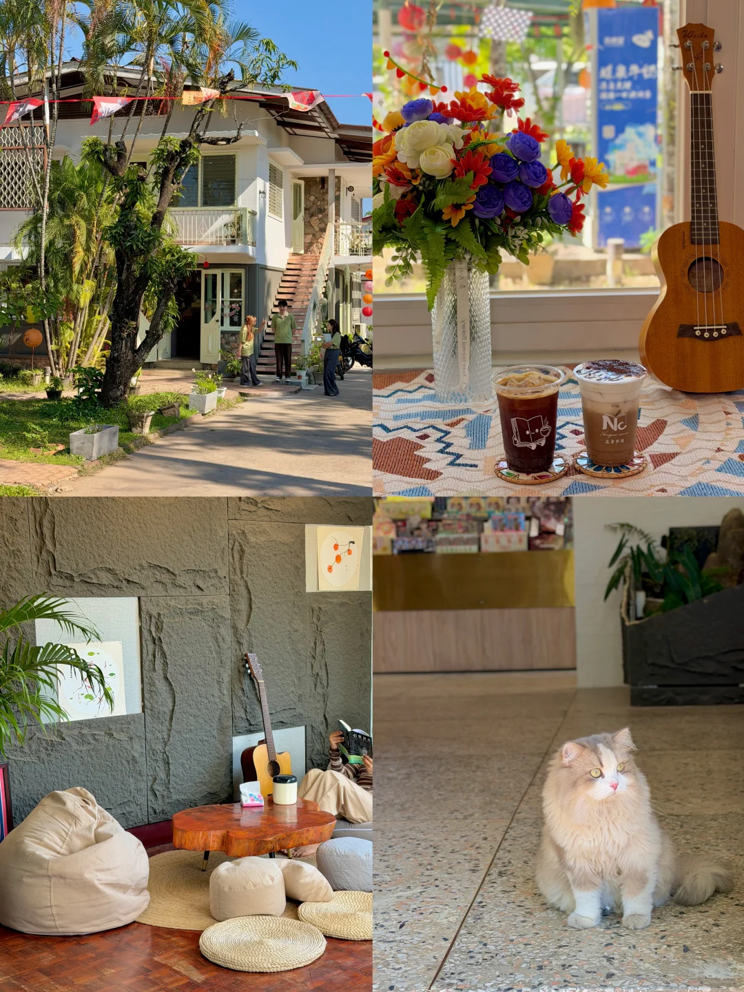 📍 老挝🇱🇦万象｜兰章书屋 · 不只是书店