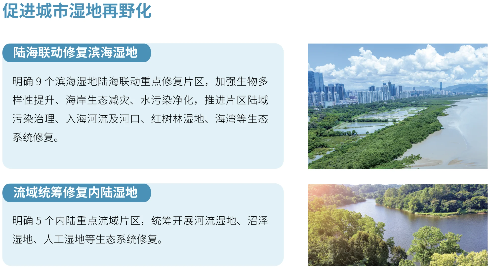 深圳湿地保护总体格局示意图