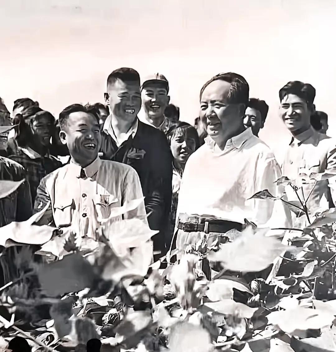 一张毛主席的珍贵老照片，这是什么场景，还是第一次见，又是一个温馨的场面。#老照片