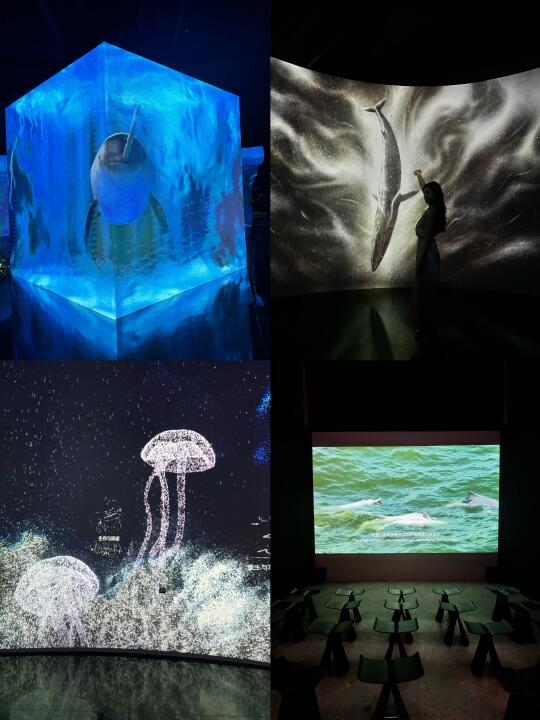 保定…竟然有深海巨鲸展！开启深海奇幻之旅
