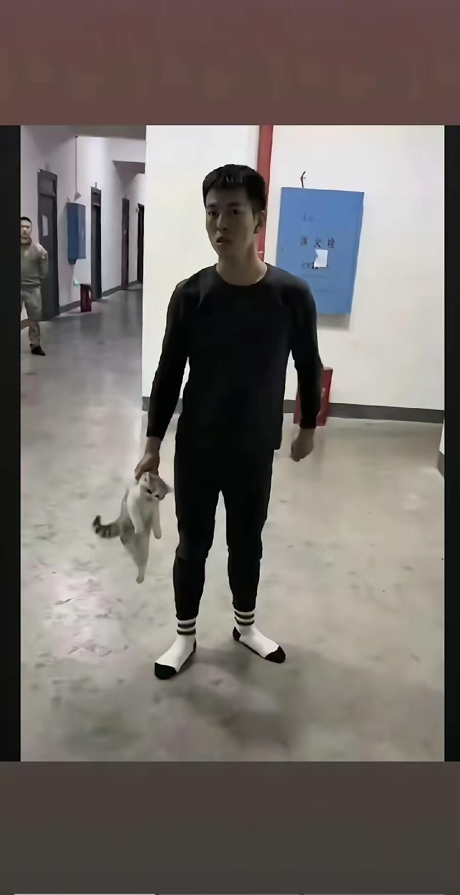 教官没有虐吧，三两下就摔死了，快准狠，小猫没有什么痛苦就去了喵星。

到底是宿管