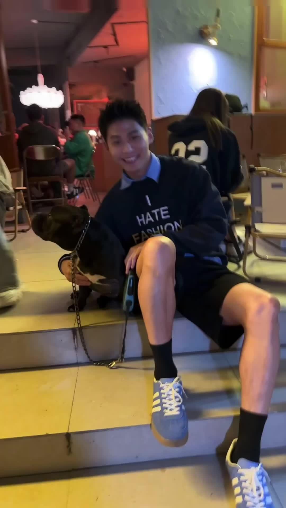 猫狗贩子🐈
