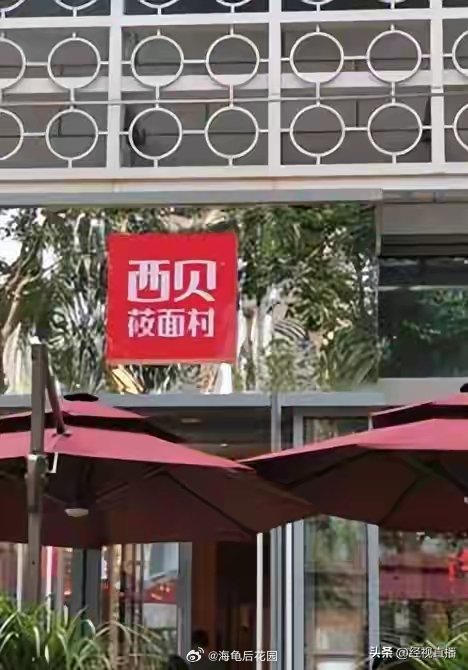 有业内人士表示，罗永浩要么是在炒作，要么混淆了预制菜的概念，“他是个外行，半成品