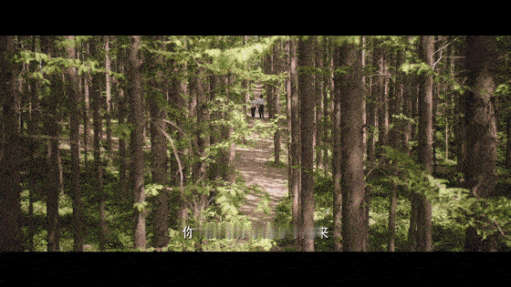 国产剧终于不演换乘恋爱了 陈飞宇和孙千这对新鲜 CP 也太好嗑了🥰！豹豹猫猫同