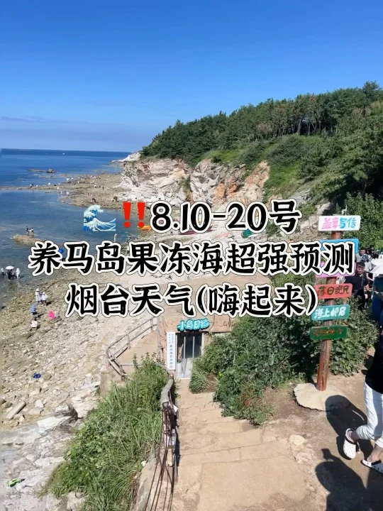 📍8.10-20号烟台养马岛果冻海超强预测