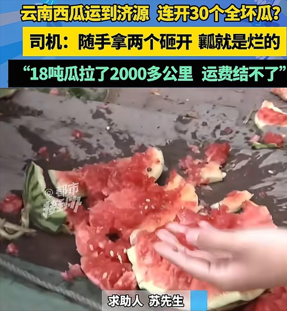 男子从云南运了18吨西瓜到济源，可收货方一检查，连开了30个瓜，外面都是好好的，