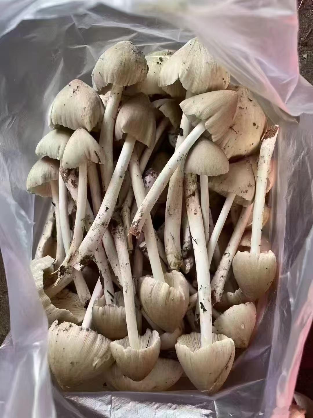 朋友们，吃过这个么？可好吃可贵啦！！！ ​​​
