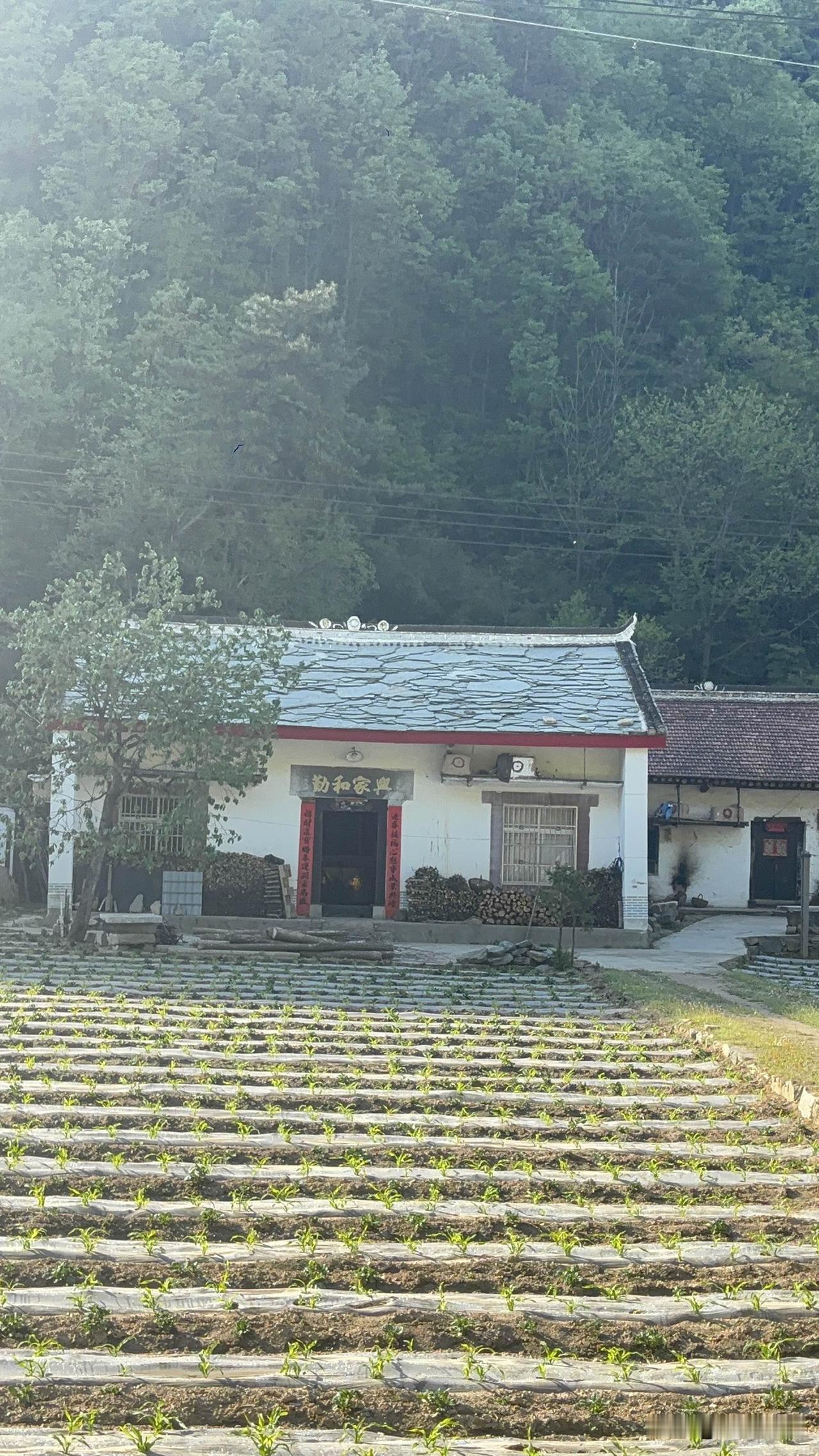 商洛牧护关西沟村看到的，屋顶是石板，第一次看到这种屋顶，这个都是村民们就地取材，