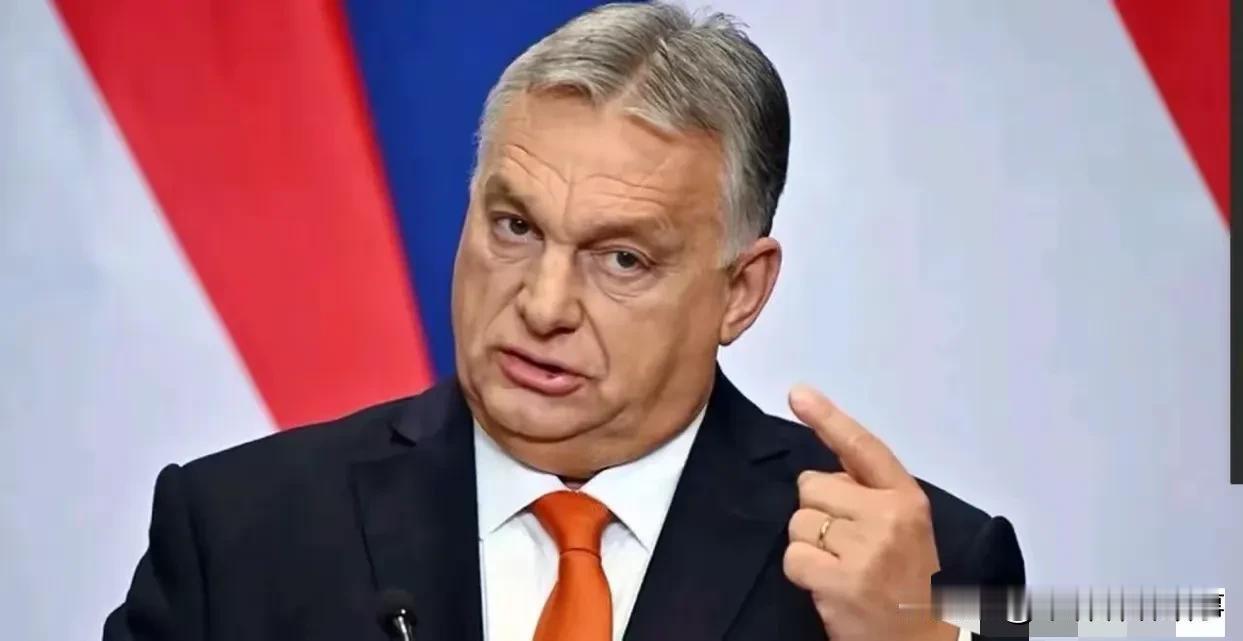“我们可不是乌克兰那种傻蛋，不会给美国当炮灰！”匈牙利总理欧尔班一语惊人，这番直
