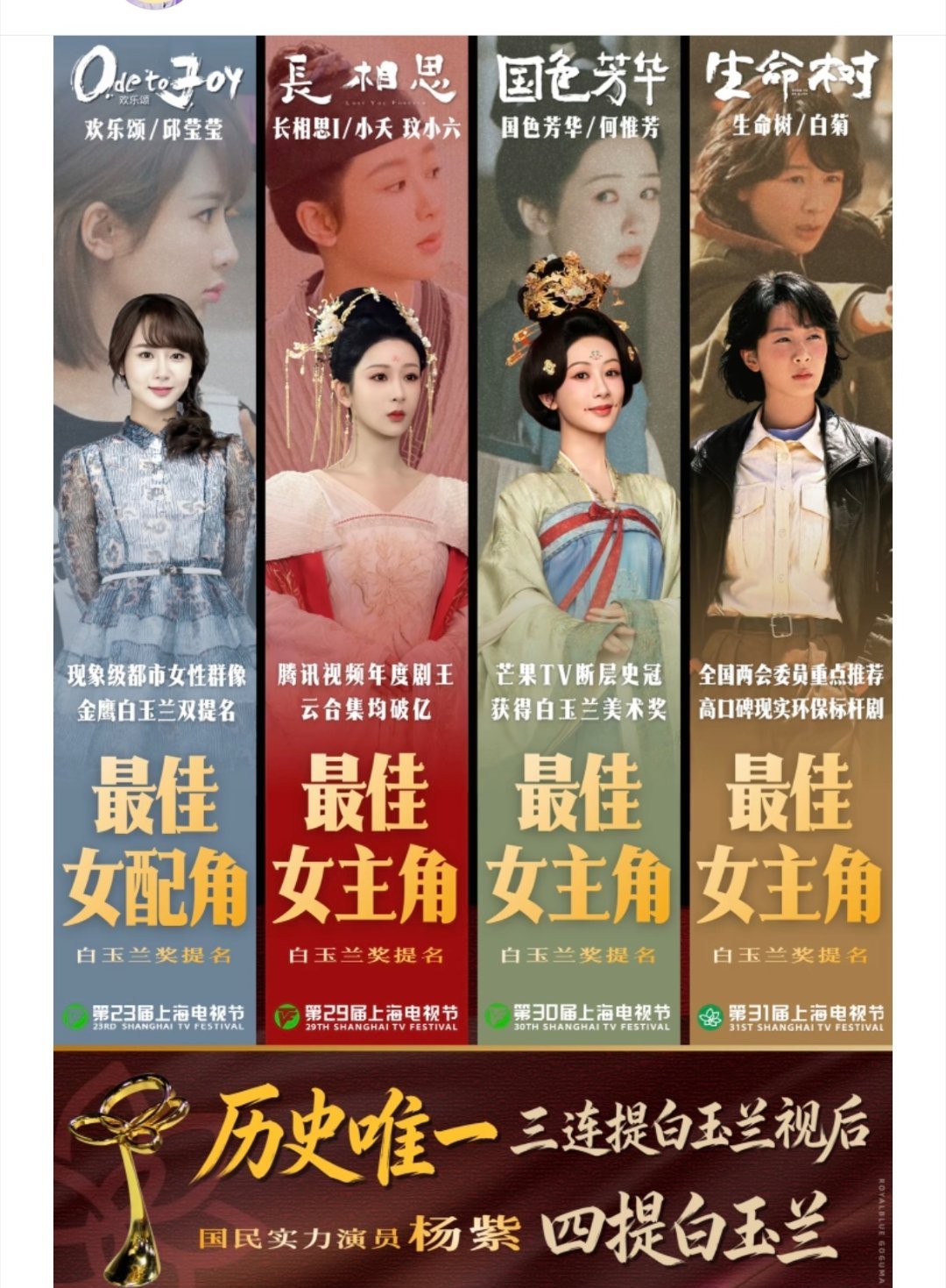 白玉兰不舒服提名杨紫 白玉兰提名 反正我挺爽的 杨紫提名白玉兰最佳女主 我开心到