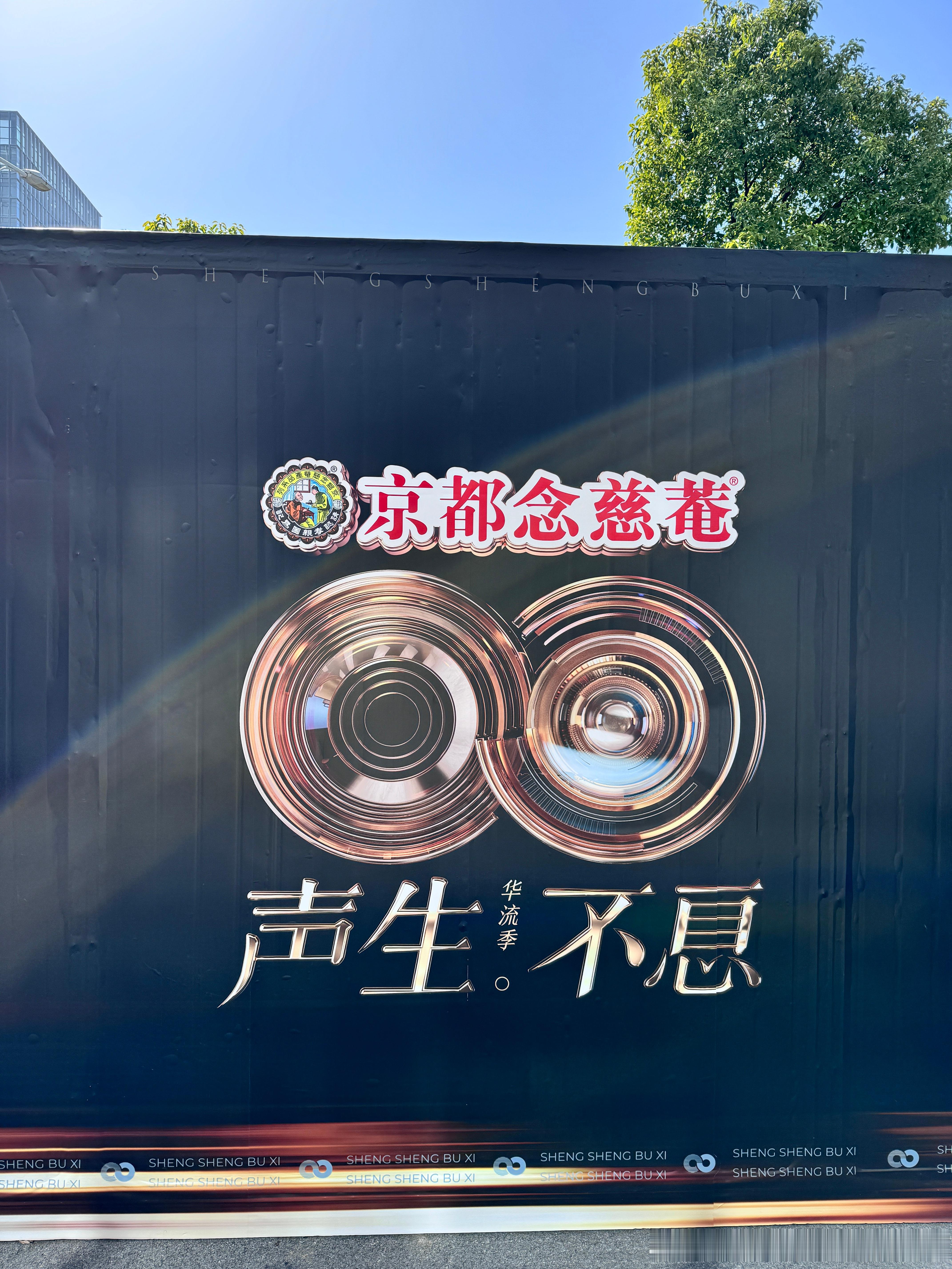 苏有朋  ssbx⏺️ EP03 repo（AS版） | 四五期 过程很精彩 尽