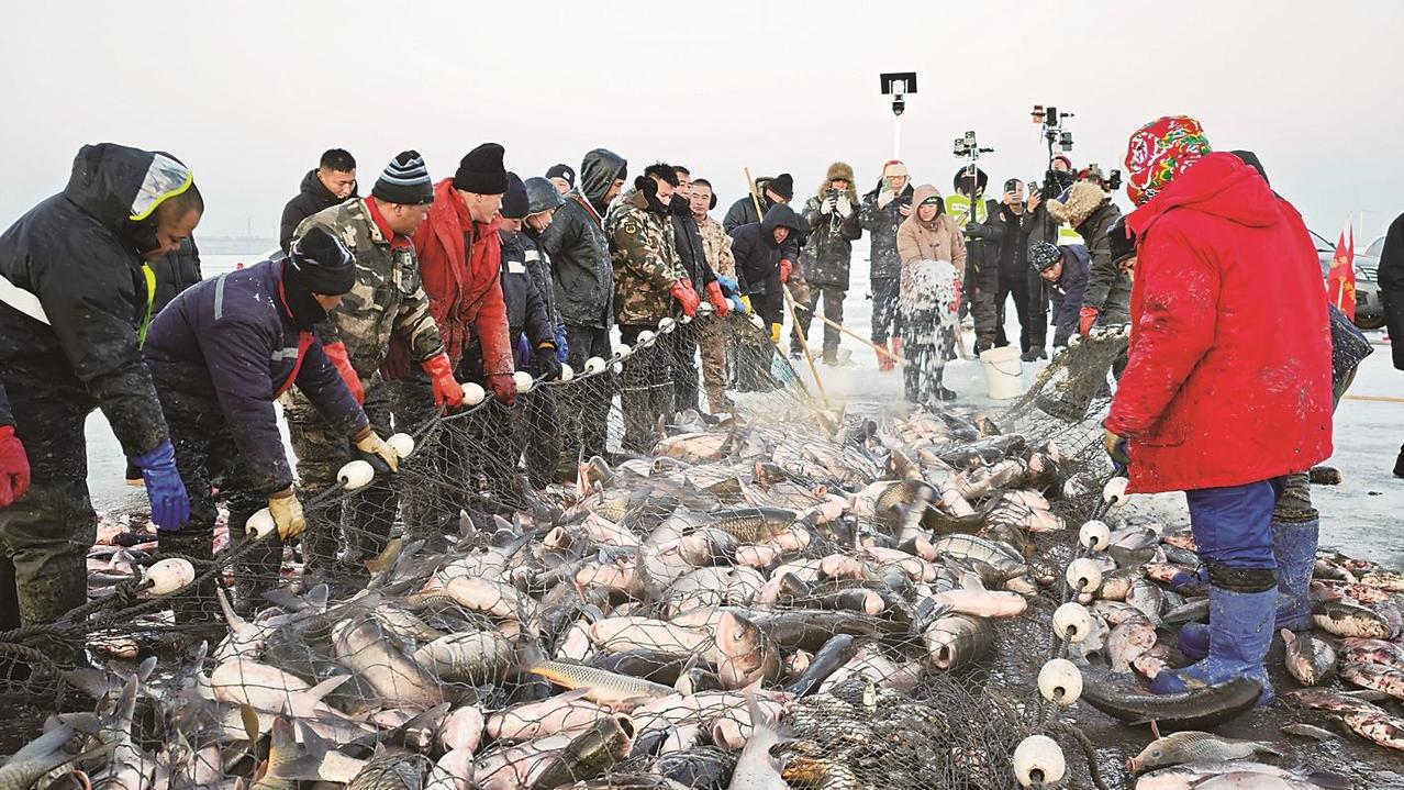 查干湖冬捕再现“红网”查干湖冬捕已成为吉林省当地独具特色的农业生产活动。“红网“