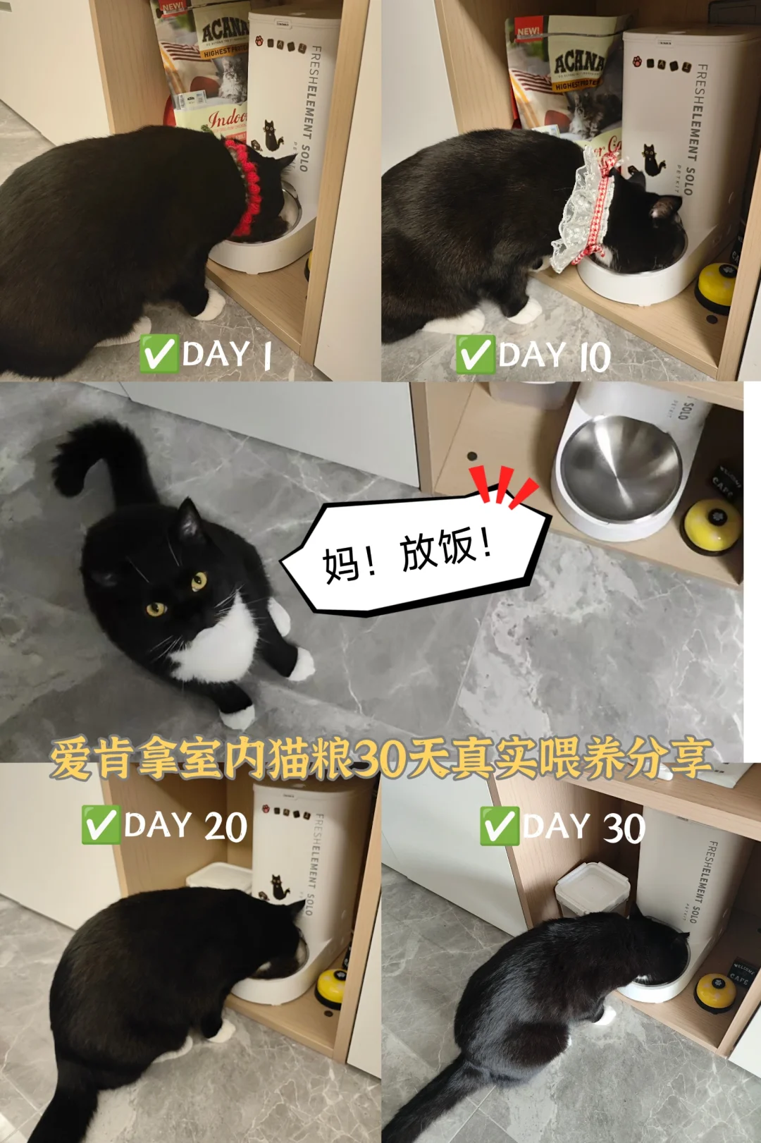 30天真实打卡，才发现变化居然有这么大...