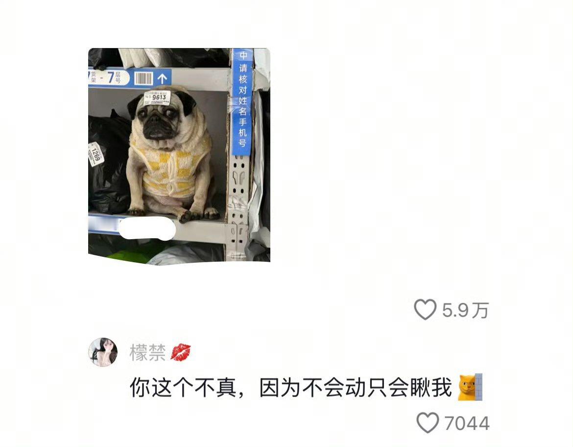 网友网购的东西有多离谱。。 ​​​