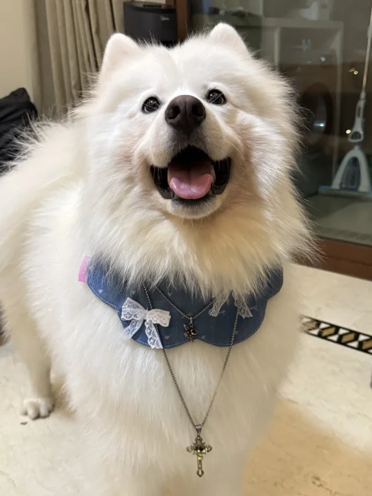 一定要理想型吗？我不够帅吗！！！😏