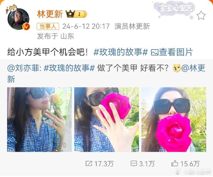 林更新P图回复刘亦菲， 幽默求生欲引热议。林更新在电视剧《玫瑰的故事》中扮演的方