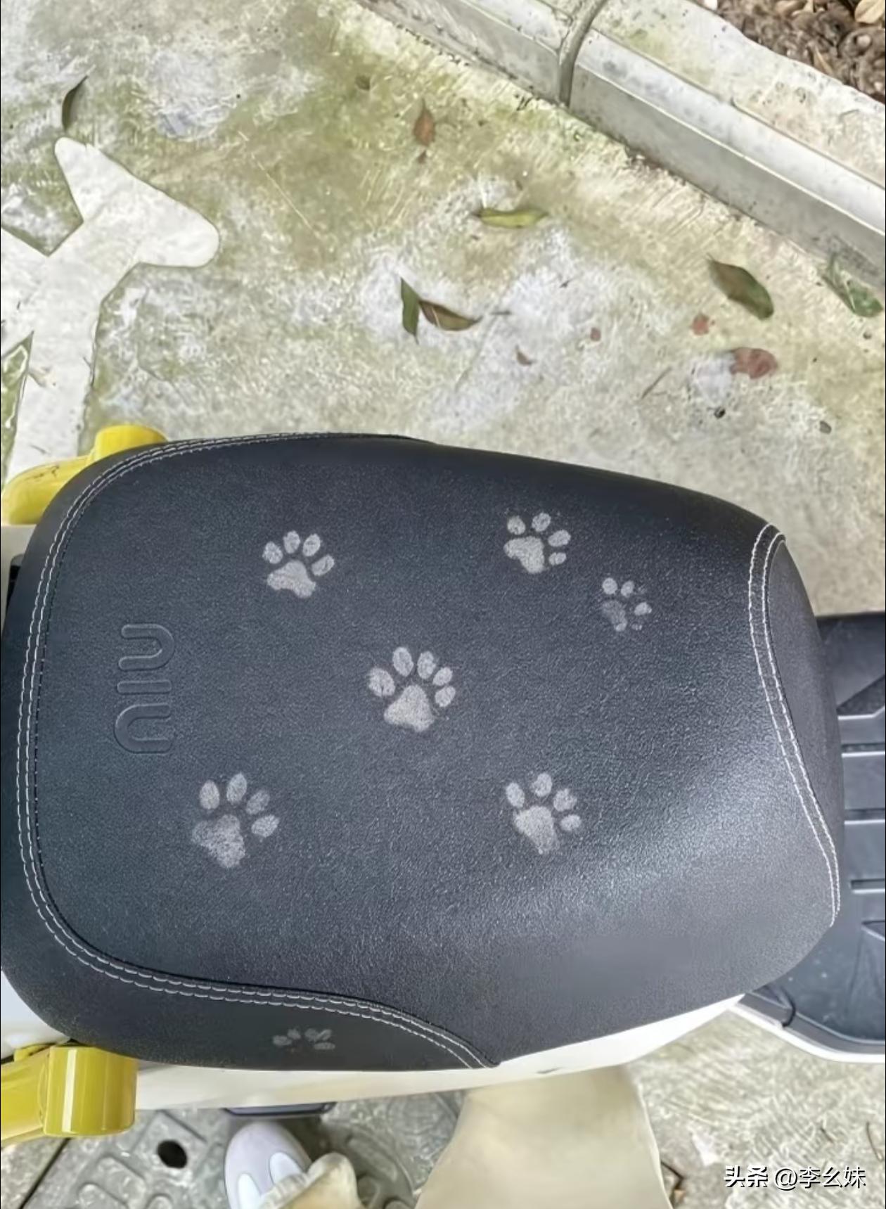 谁干的？
