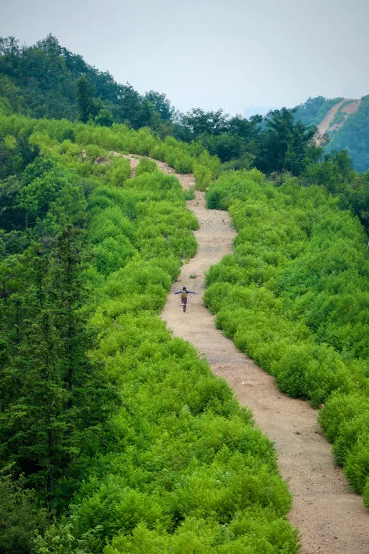 长沙徒步｜三穿♻️象鼻窝-桃花岭-岳麓山