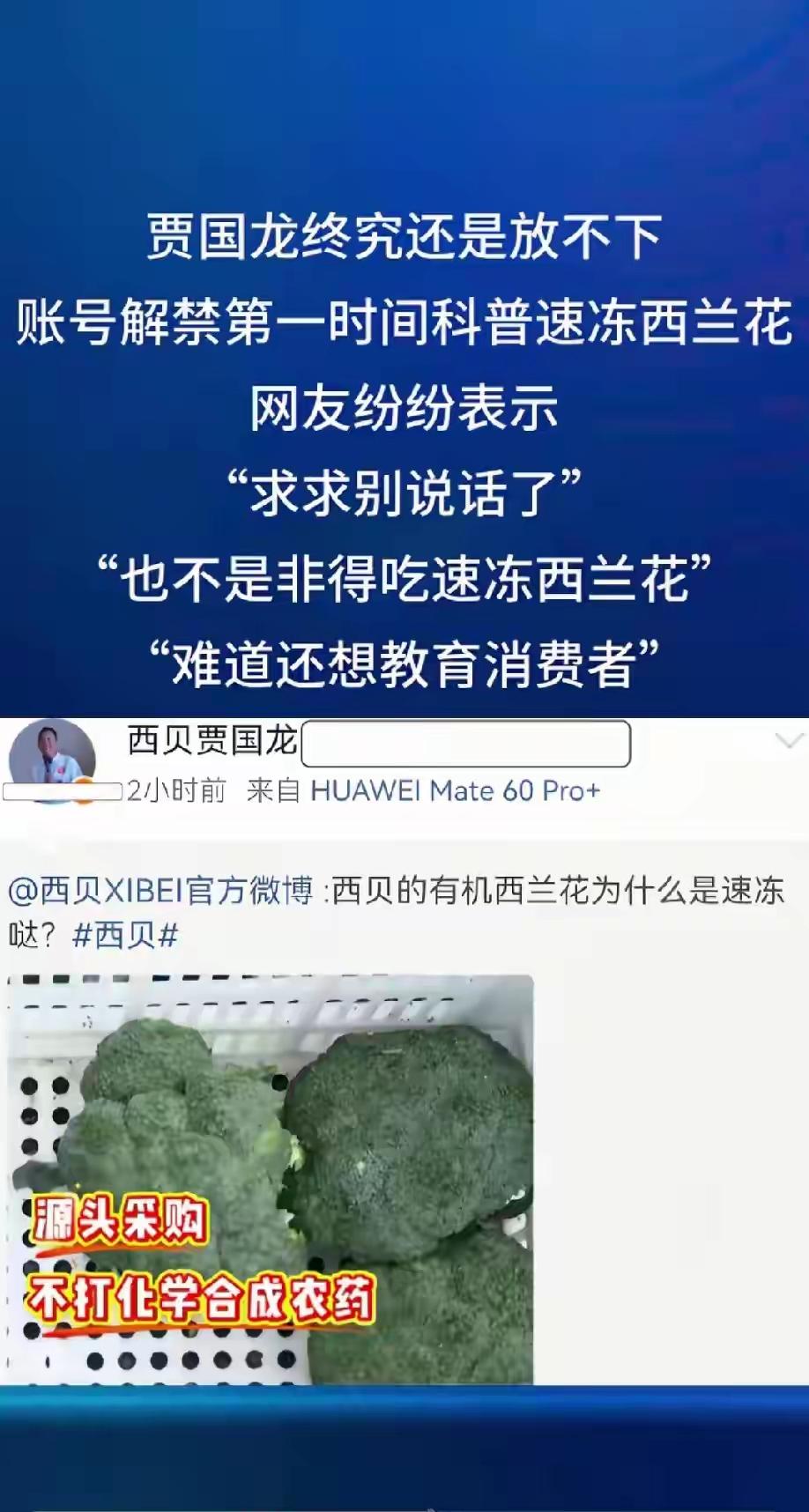 [吃瓜群众]西贝先生，终究还是困于他自己的“执念”…大概，神仙难救了[捂脸]