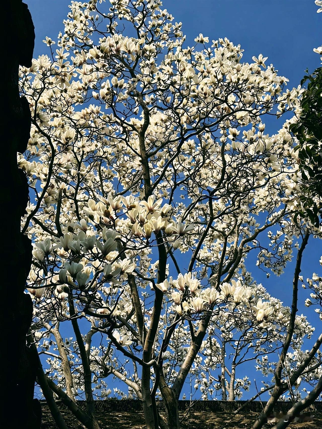 得与失是一生难破的镜花水月 爱与别是一生难解的鹤唳华亭。