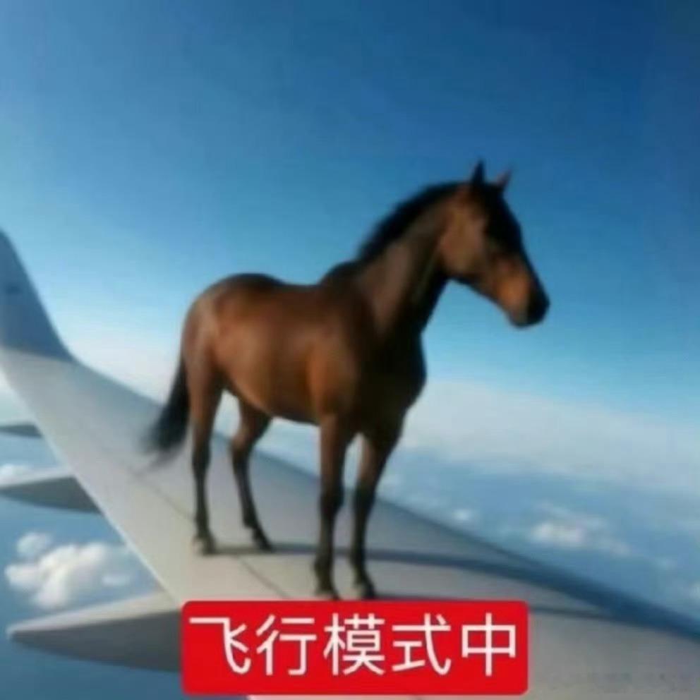 分享图片 