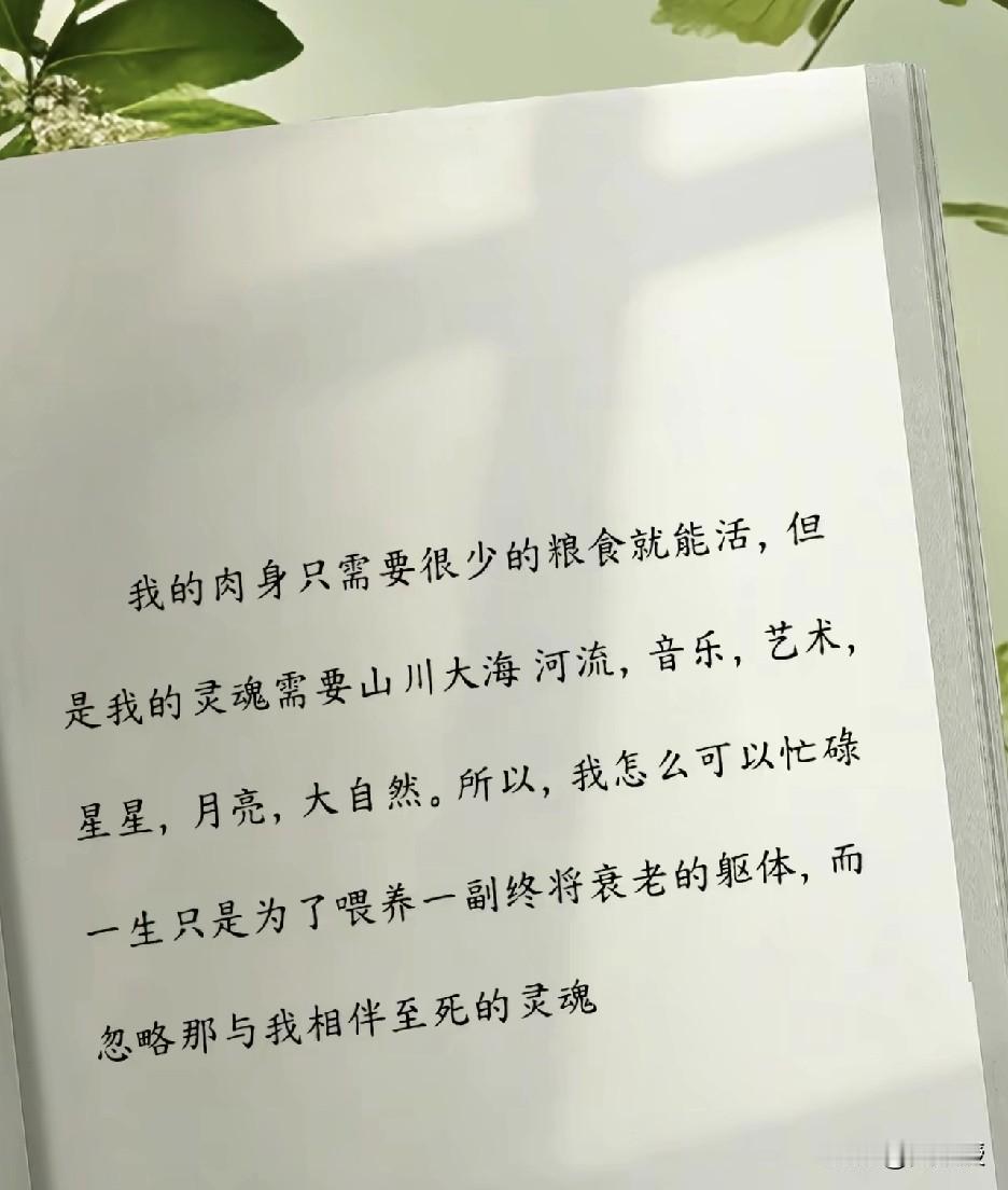 莫听穿林打叶声，何妨吟啸且徐行。竹杖芒鞋轻胜马，谁怕？一蓑烟雨任平生。
料峭春风