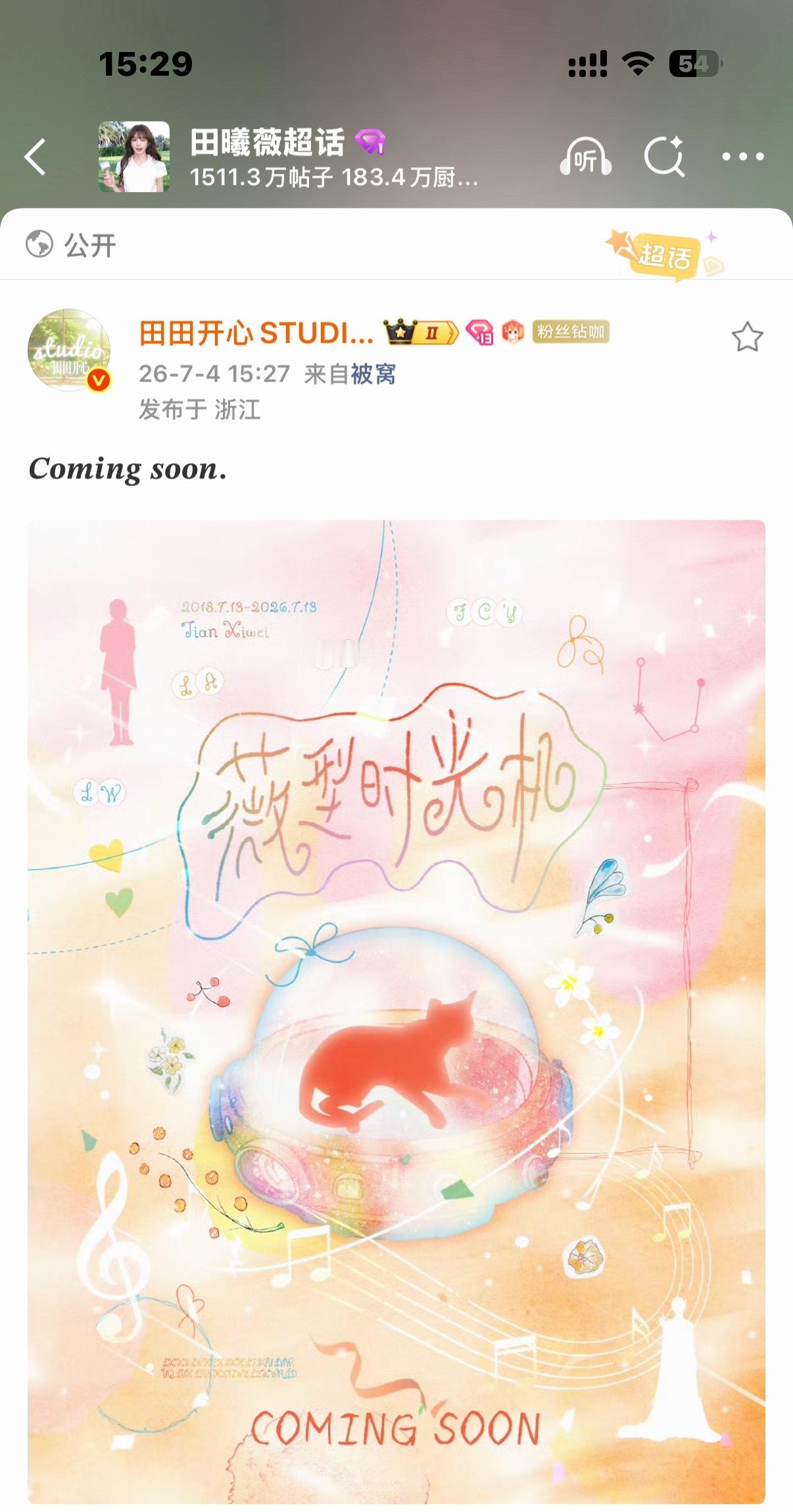此乃何物？图中有小猫🐱 