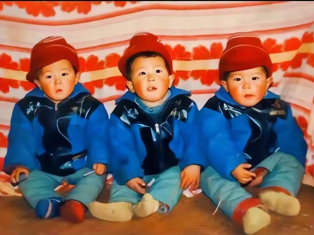 山东高密赵家三胞胎的完整励志故事
 
这组赵家三胞胎（赵凌霄、赵凌汉、赵凌云），