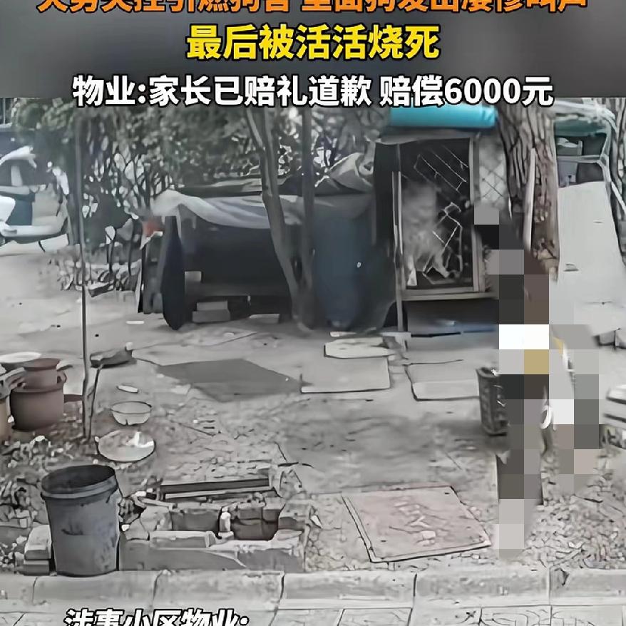 6000块钱，
真的能抹平
一条生命在烈火里的惨叫吗？
 
         两