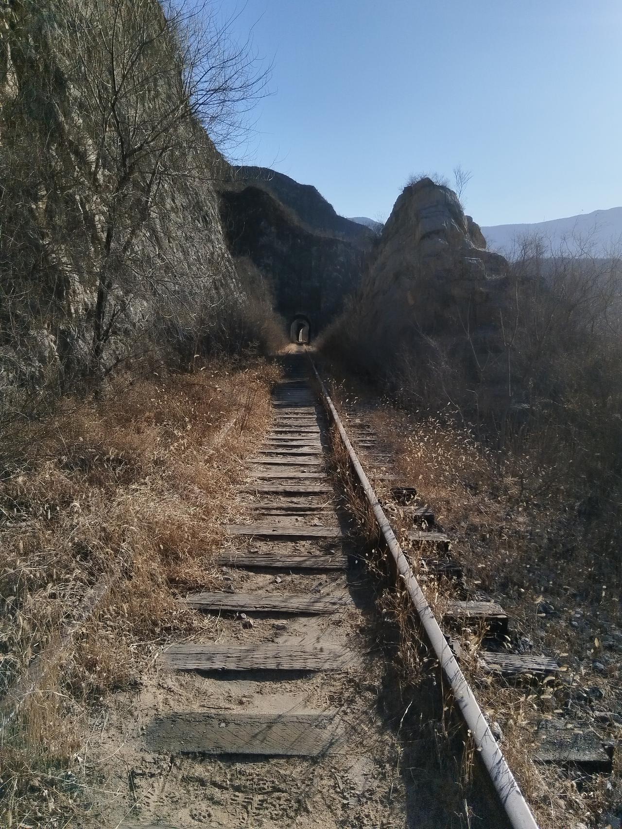 新诗觅知音


苟且

我坦然过这苟且的生活
这生活只有苟且一种过法
不苟且着过