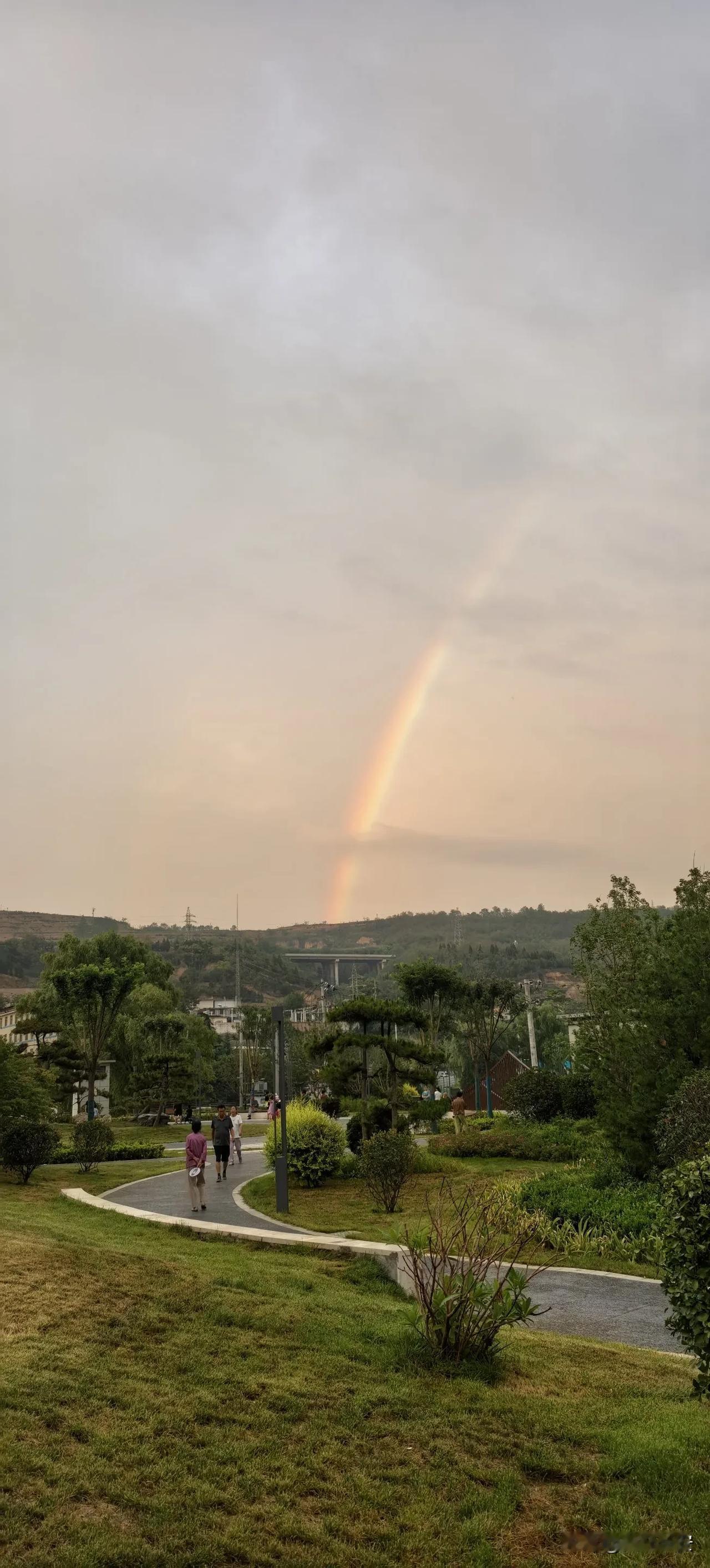 夜雨淋落在原野
不知名的田埂上的野花
正如你离别时悲伤的裙摆
揭开了钟情的扉页