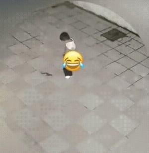 五环，你就差那么一环！网友炸锅了，这歌配上视频，简直绝了！
北京五环，咋就不多加